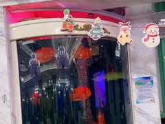 -齐家花园大酒店(宝山店)