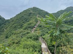 -大岭沟猕猴桃谷风景区