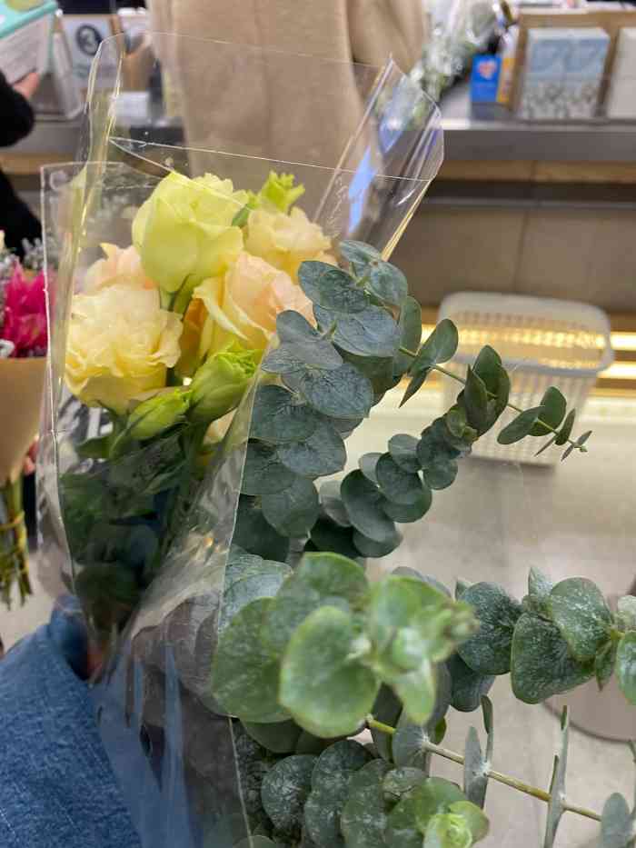 鹿岛园艺(朝天门来福士店)-"🌈位置在来福士商场3楼,可以直接坐轻轨