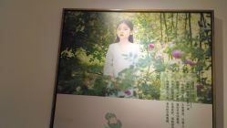 -爱儿美儿童摄影(五路居花园别墅店)