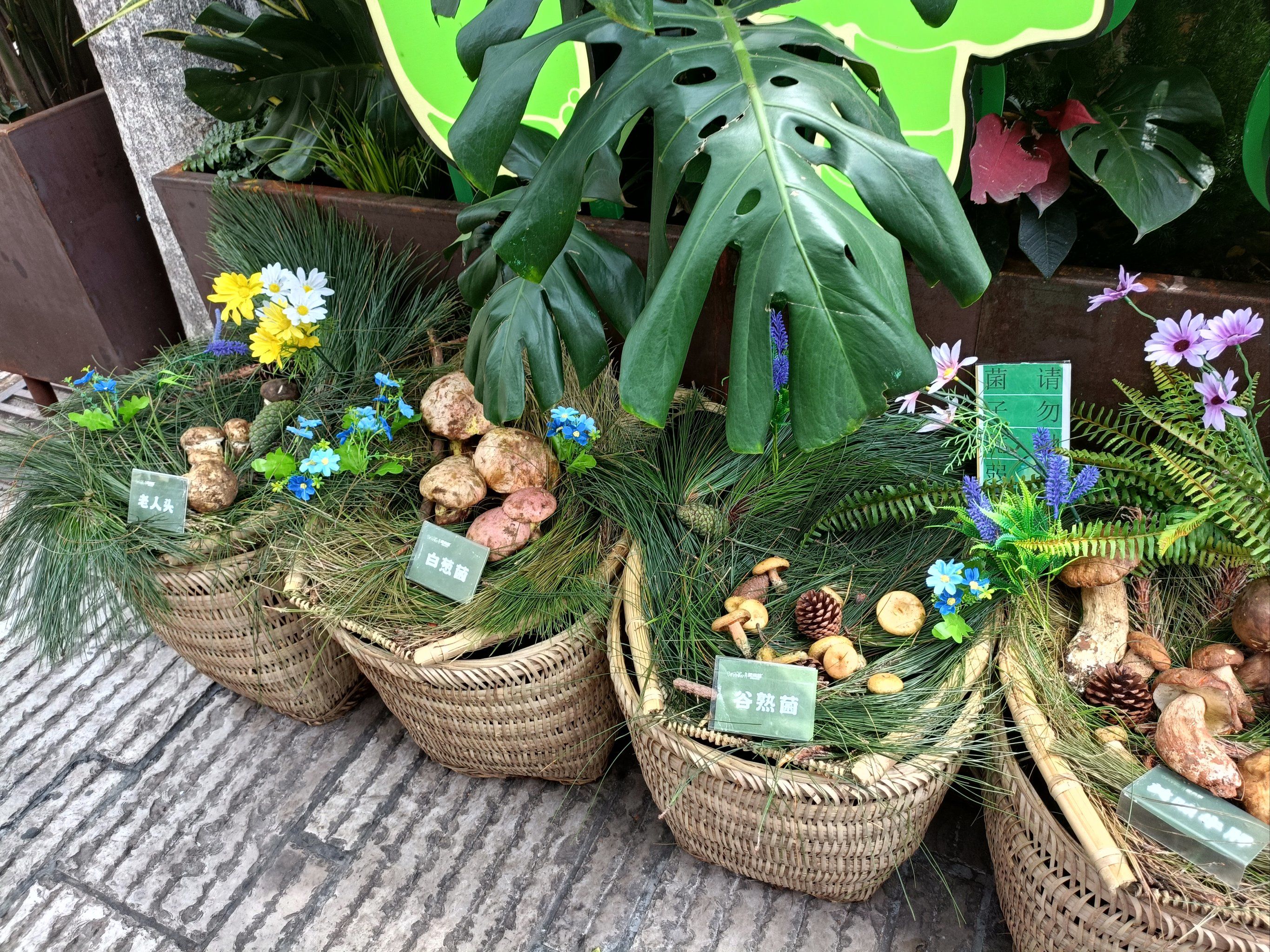 云南菌菇火锅以其独特的口感和丰富的营养价