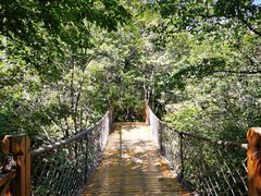 -白草畔自然风景区