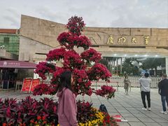 -厦门大学(思明校区)