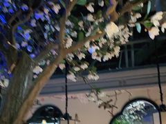 -蘇小主(徐州万达店)