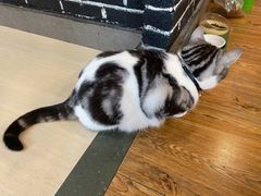 -王老六铁锅炖鱼(长春路店)