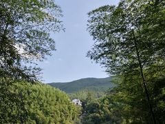 -山沟沟景区