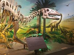 -甘肃地质博物馆