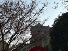-绳金塔