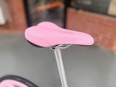 -DAHON大行折叠自行车(松江旗舰店)