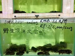 -海盗餐厅
