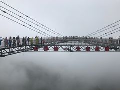 -梦幻奥陶纪景区