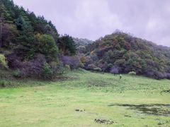 -大水川景区