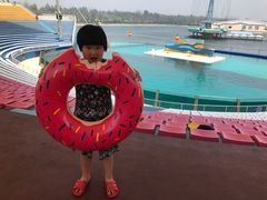 -秦皇岛乐岛海洋王国