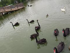 -无锡动物园·太湖欢乐园