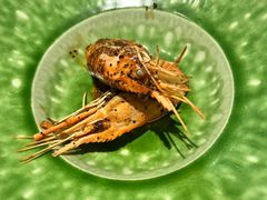 -匠和风精致料理(福州金融街万达店)
