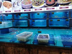 水产区-梦都海鲜酒家(万达广场江桥店)