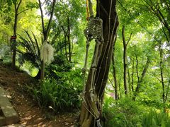 -丰都鬼城名山景区