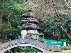 -深圳国际园林花卉博览园