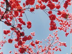 -昆明动物园