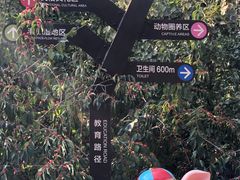 -北京麋鹿生态实验中心