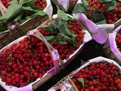 -菜园坝水果市场