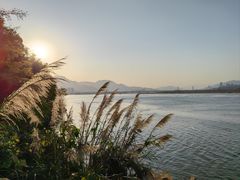 -福建鲤鱼洲酒店