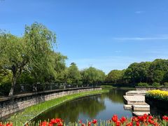 -上海鲜花港