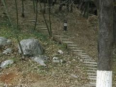 -陶祖圣境风景区