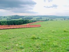 -塞罕坝国家级自然保护区