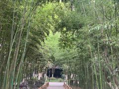 -包公祠