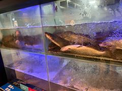 -鱼酷活鱼烤鱼(南京水游城店)