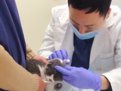 -福州肆爪动物医院