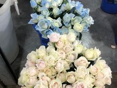 -三圣花乡旅游区