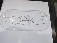 -上海昆虫博物馆