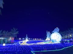 -三亚红色娘子军演艺公园景区
