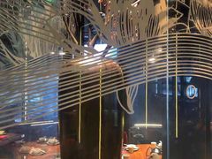 -老板恋上鱼(印象城店)