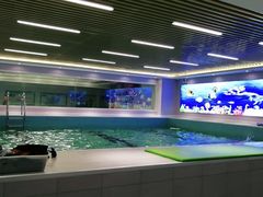 -水贝乐国际水育儿童游泳中心(新业广场店)