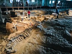 -自贡恐龙博物馆