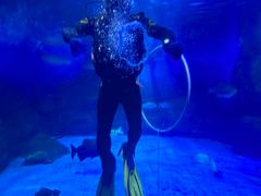 -烟台海昌鲸鲨海洋公园