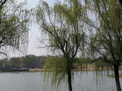 -钟山体育运动公园