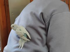 -上海大自然野生昆虫馆(东方明珠·爬宠昆虫探索中心)