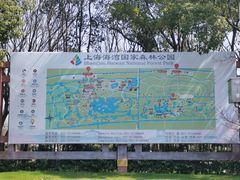 -上海海湾国家森林公园