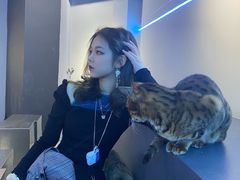 -极木²邸 人与宠物·互动社区