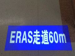 -上海市第四人民医院