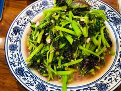 -全乐鱼馆·淳牌有机鱼直营店
