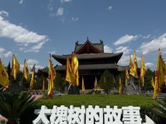 -大槐树寻根祭祖园