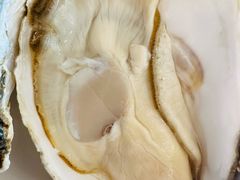 -冯姐生蚝(迎宾广场店)