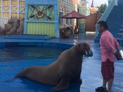 -华夏文旅海洋公园