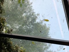 -VOYAGE COFFEE(北锣鼓巷店)