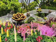 -上海共青森林公园